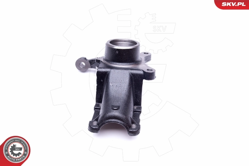 Steering Knuckle, wheel suspension
